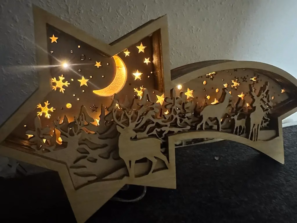 Weihnachtsstern Sternschnuppe – stimmungsvolle Deko